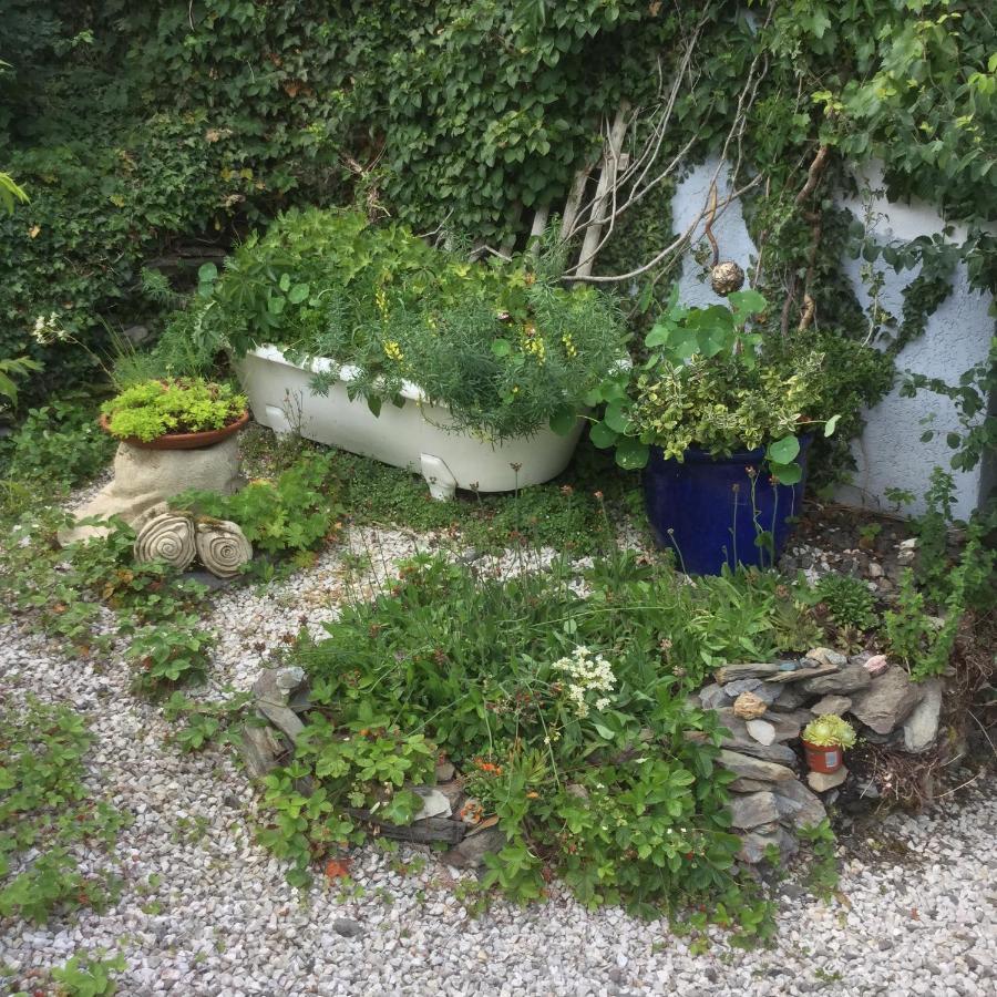 迪尔赫林住宿加早餐旅馆 Dill 外观 照片