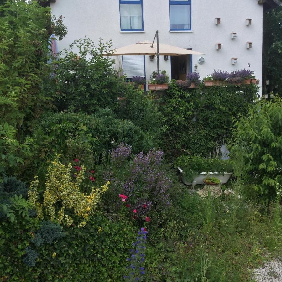 迪尔赫林住宿加早餐旅馆 Dill 外观 照片