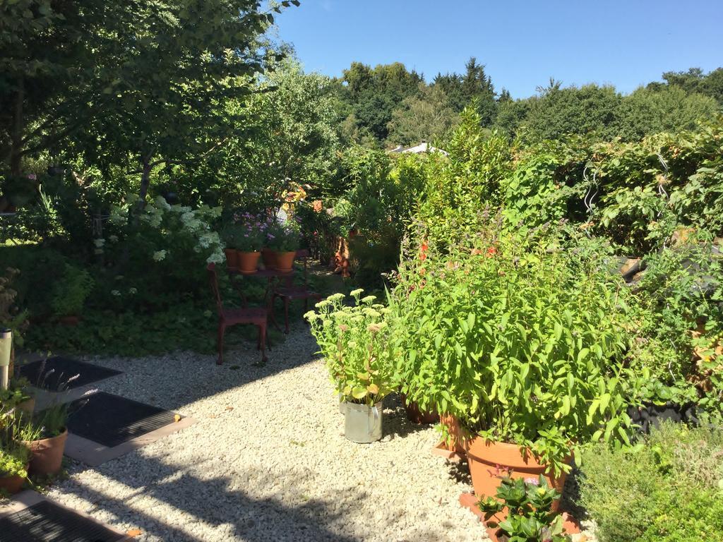 迪尔赫林住宿加早餐旅馆 Dill 外观 照片