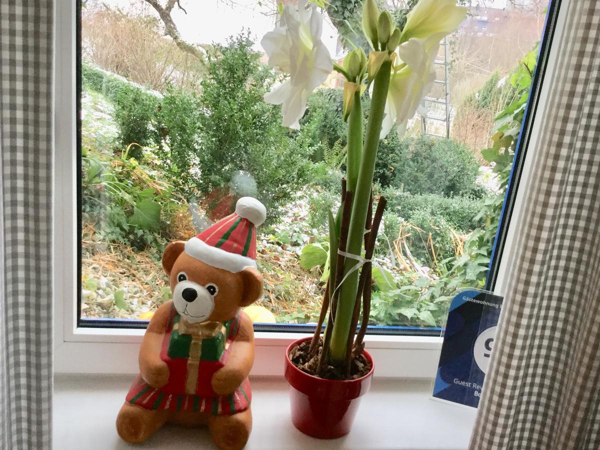 迪尔赫林住宿加早餐旅馆 Dill 外观 照片